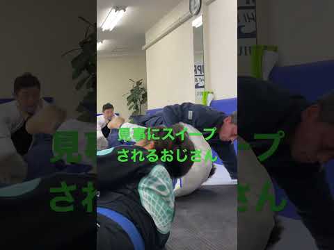 ［柔術スパーリング］見事にスイープされるおじさん #bjj #jiujitu #ブラジリアン柔術 #柔術 #ブラジリアン柔術テクニック動画 #スパーリング