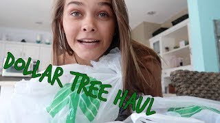 SHOULD WE GET A NEW PUPPY? EMMA SHOPS AT DOLLAR TREE FOR A SURPRISE!