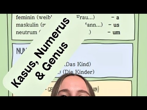Kasus, Numerus, Genus - Die Fachbegriffe der Substantive leicht erklärt (Latein/Deutsch)
