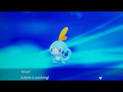 Pokemon Shield Sobble Evolving into Drizzile