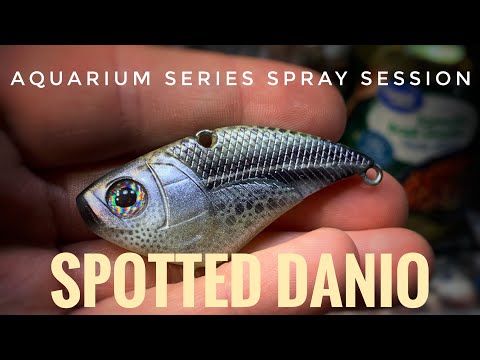 AQUARIUM SERIES SPRAY SESSION: The Spotted Danio (09 Sept 2020)