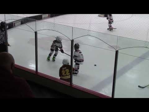 Bears vs Ice Dogs 1-22-2022