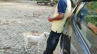 Jeena isi ka Naam hai - YouTube