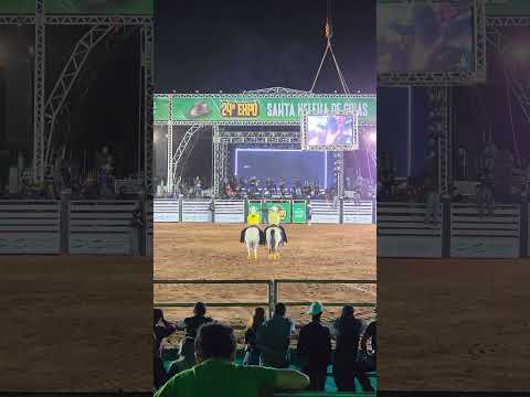 Rodeio Santa Helena de Goiás 2025