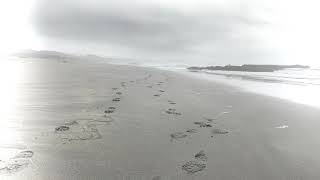 Nina Gordon “The Time Comes”