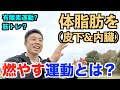 【#94】体脂肪を燃焼する運動とは?筋トレと有酸素運動はどっちが効く?そもそも体脂肪(皮下&内臓)はどうやって燃えるのか?