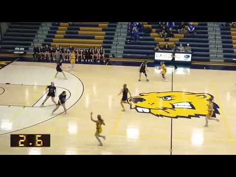 HIGHLIGHT: BVU Women's Basketball Buzzer Beater!