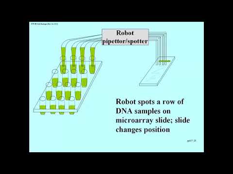 biology libretexts