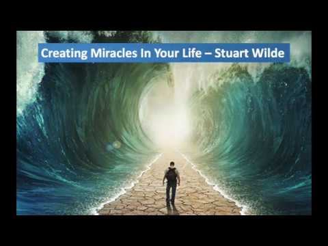 Creating Miracles In Your Life - Stuart Wilde