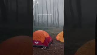Download lagu story wa pendaki gunung mp3
