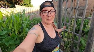 Welcome to Our Little Suburban Farmhouse | Growing food in small spaces