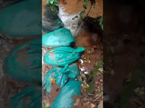 barragem da prainha do Rio serrana São Tomé Paraná