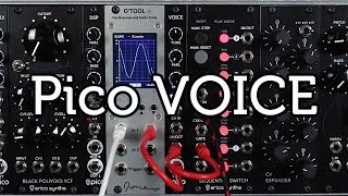 Video thumbnail for Erica Synths Pico Voice demo by Erica Synths