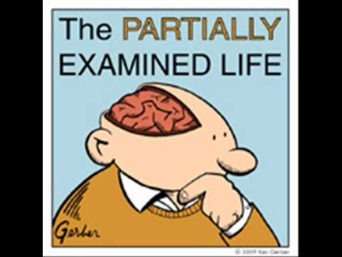 Partially Examined Life podcast - Kierkegaard - The Sickness Unto Death