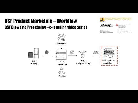 BSF Product Marketing - Workflow - BSF Biowaste Processing e-learning video series