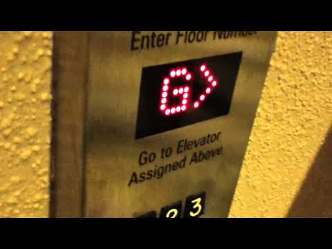 New York, NY: Westinghouse Traction Elevators (Schindler Mods) @ Marriott Marquis (10:15pm Run)