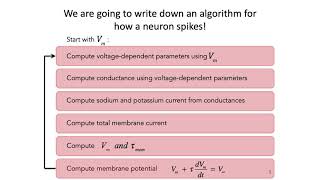 MIT 4: Hodgkin-Huxley Model Part 1