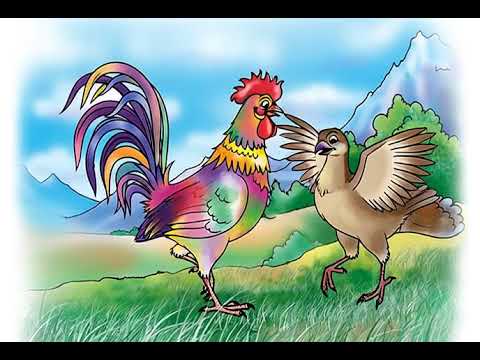 The Most Misunderstood Moments In History