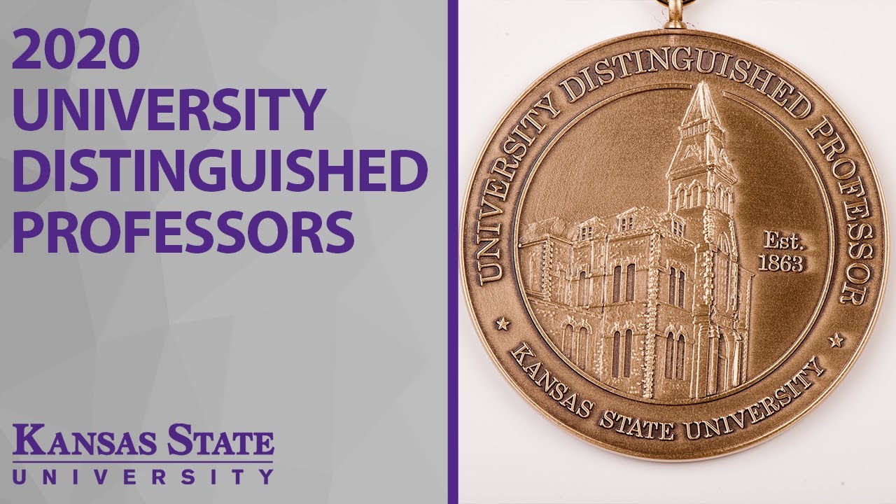 2020 University Distinguished Professors