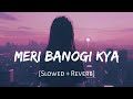 Meri Banogi Kya Rito Riba Slowed And Reverb Viral Lofi