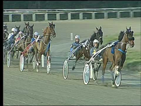 Trotto 26/02/2017 - 7ª corsa