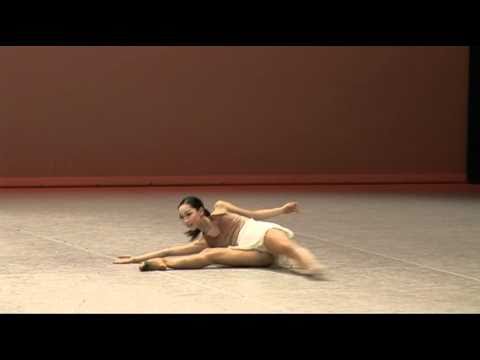 Selections 2010 - Contemporary Variation - Dae Hee Lee