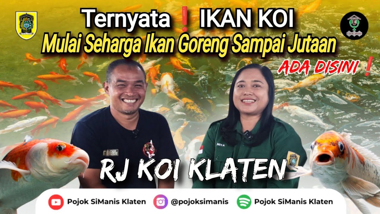 HOBI YANG MENJADI PELUANG BISNIS BESAR || RJ Koi Klaten