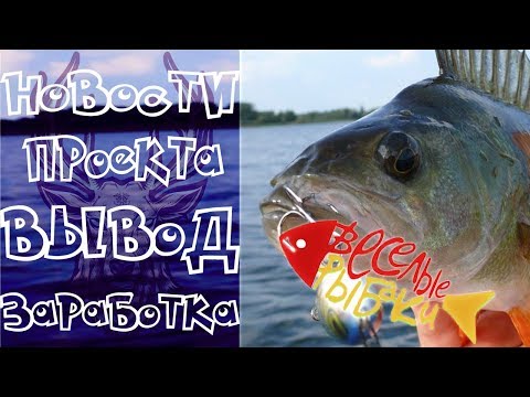 FunFisherMen - НОВОСТИ И ВЫВОД ЗАРАБОТКА. BeeHive - ГОРЯЧИЕ НОВОСТИ 🔥