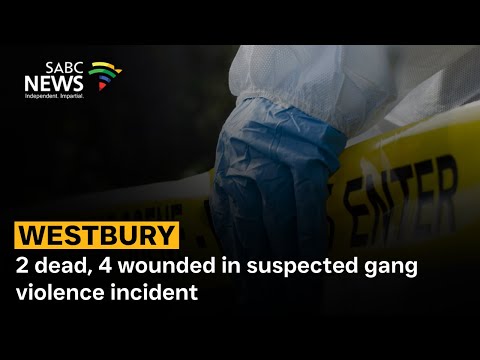 Westbury | 2 dead, 4 wounded in suspected gang violence incident