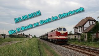 ☆☆☆ Ein U-Boot zu Gast im Oderbruch [31.05.2016] ☆☆☆