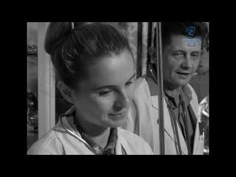 Ludzie i ich historie - Portret lekarza - dr Gibiński