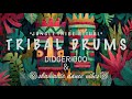 Jungle Tribe Ritual 1 Hour Of Shamanic Drums Didgeridoo Tribal Dance Vibes