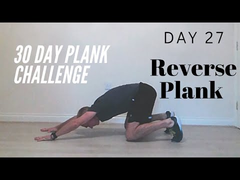 Day 27 of the 30 Day Plank Challenge by The Fitness Effects