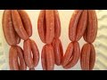 How To Make Sausages.Pork And Tomato. TheScottReaProject.
