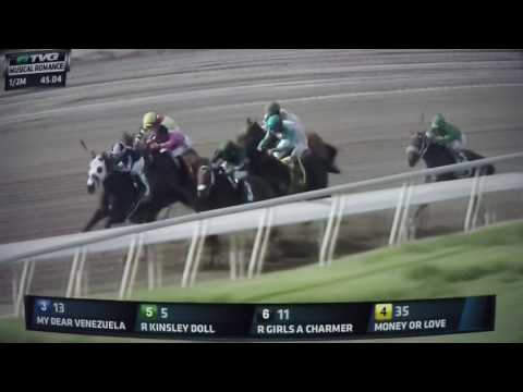 MUSICAL ROMANCE S .G STAKES $100,000 2017 - MONEY OF LOVE !!!