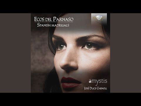 La Verginella video