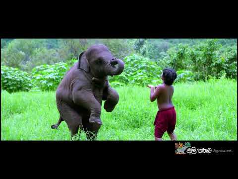 කැලේ අයිති අලින්ටයි - Ali Kathawa(2017) Theme Song