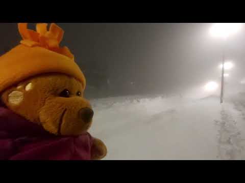 Januar 2021, Eisenbahn zwischen Sonneberg und Neuhaus