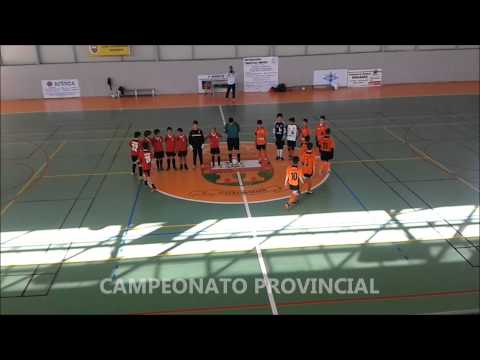 CIUDAD DE TOLEDO ALEVIN - CAMPEON CASTILLA LA MANCHA 2013-2014