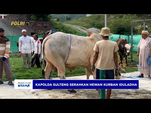 KAPOLDA SULTENG SERAHKAN HEWAN KURBAN IDULADHA