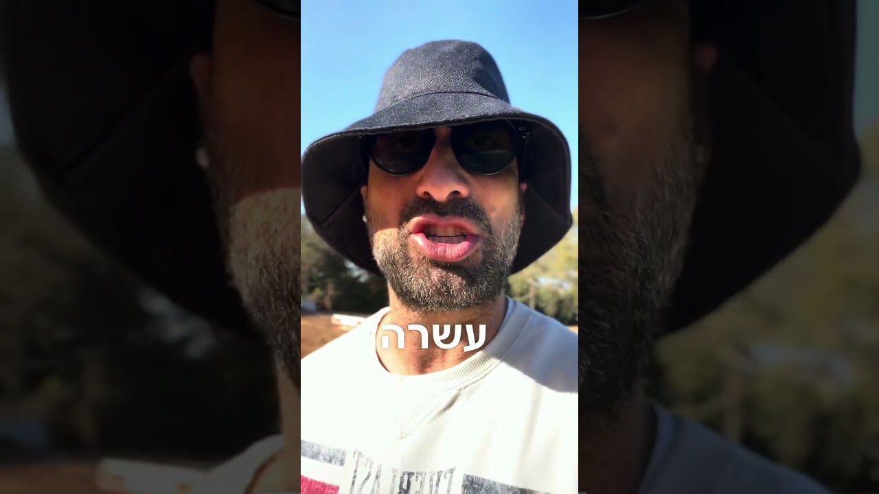 יום 11 אחרי ההשתלה – גרף הצמיחה