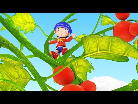 Noddy In Toyland | Tessie's Garden Grows And Grows | Noddy English Full Episodes