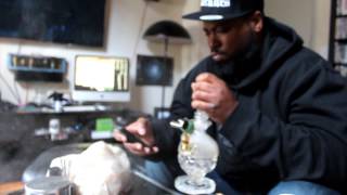 Reef The Lost Cauze  - 