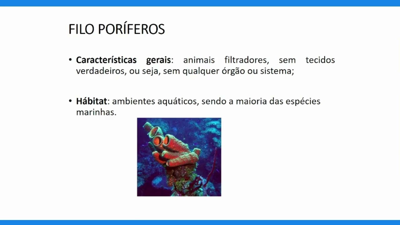 Zoologia dos invertebrados