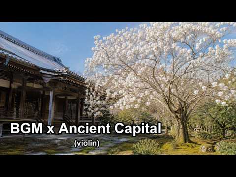 Sounds of the Journey Episode 090 — Magnolias at Akishino-dera (Violin) | Nara ambient BGM
