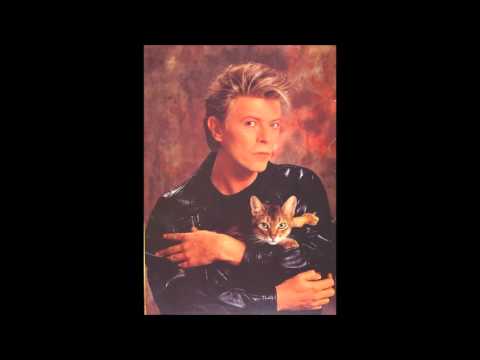 Porky Quiz David Bowie
