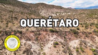 El cactus más grande del género Astrophytum y un Ariocarpus pequeñito, en habitat!