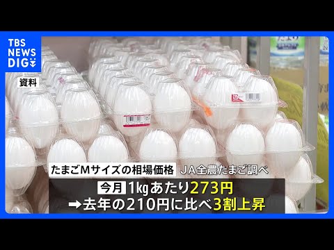 過剰な体重は産卵鶏にどのような影響を与えますか?生産性は向上していますか、それとも低下していますか?  庭園