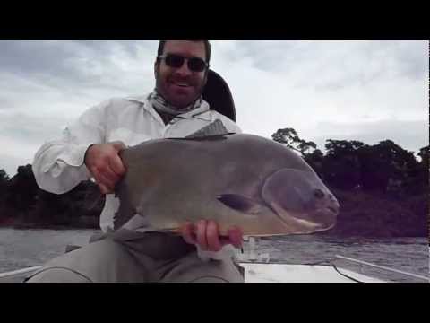 pesca de pacu con mosca