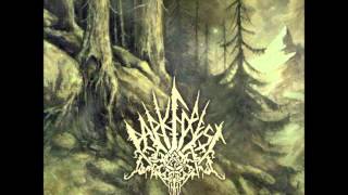 Dark Forest - A Few Acres of Snow